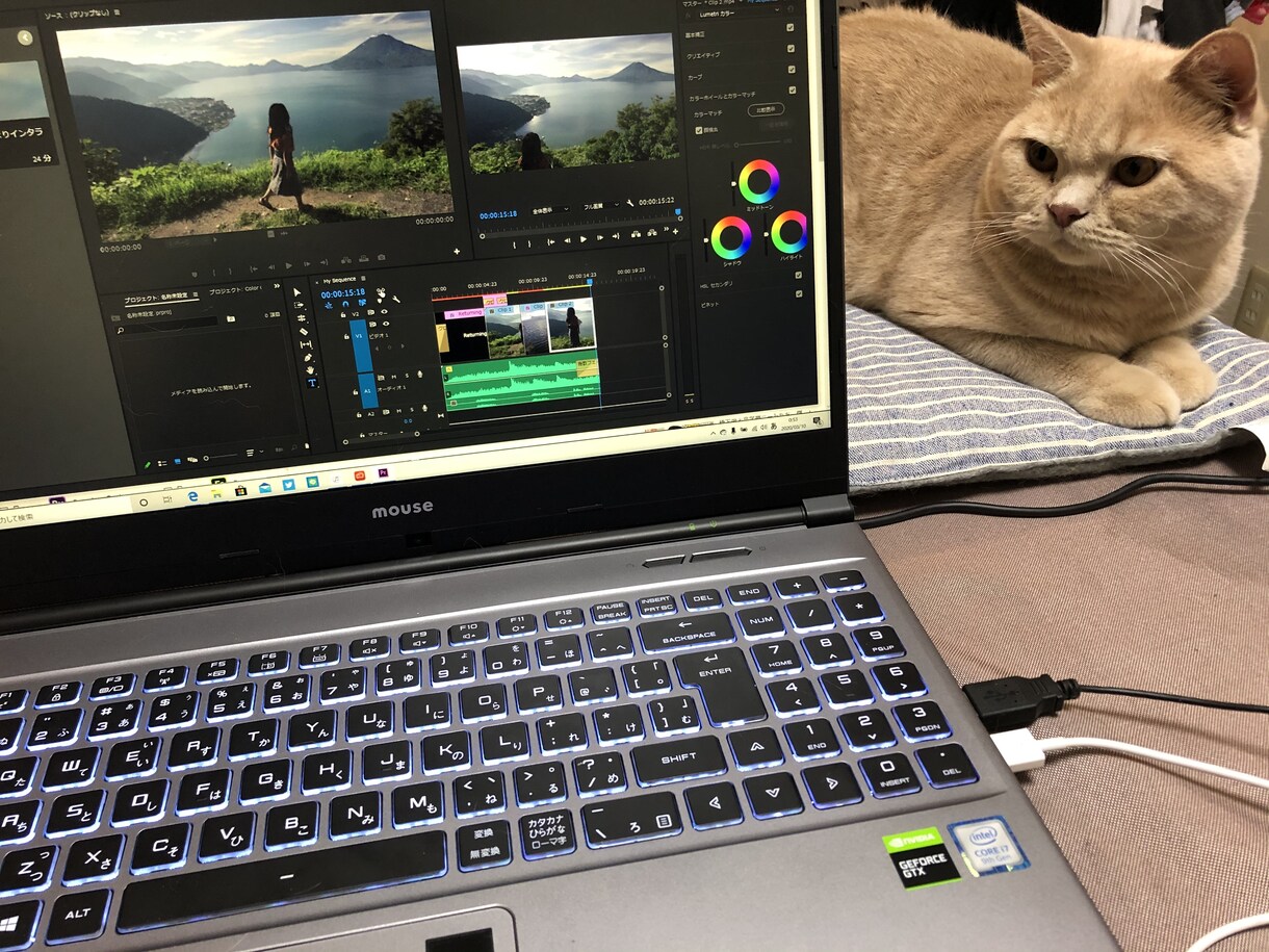 格安1500円！YouTube動画編集代行します 実績獲得の為４月末まで期間限定料金に設定中です！ イメージ2