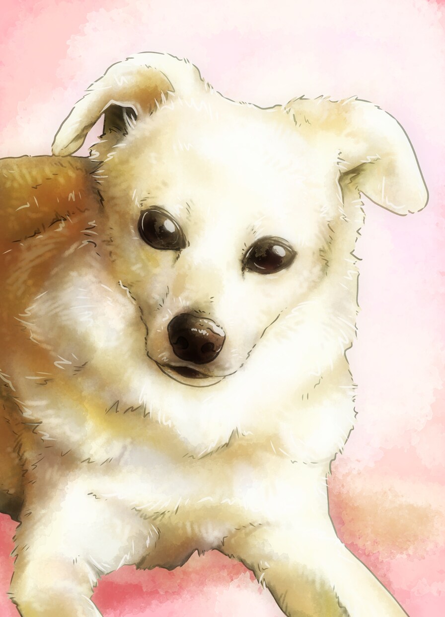 ペットのお写真を元に似顔絵イラストを作成します 【5名様限定価格】水彩画風にかわいいペットをお描きします イメージ4