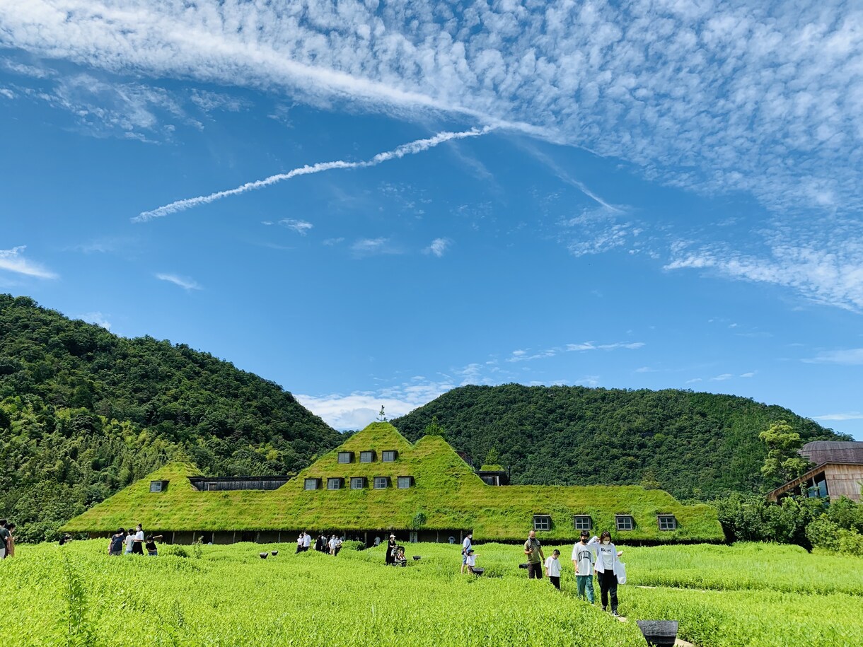 何でもご相談いただけます 聞いてほしいなぁ〜お聴かせください！ イメージ1