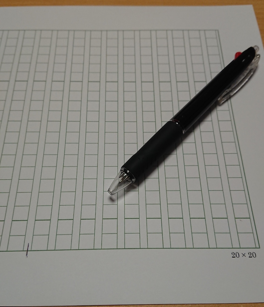 小論文の添削＋表現内容指導します 小論文の書き方が分からない人、書いたけれど見てもらえない人 イメージ1