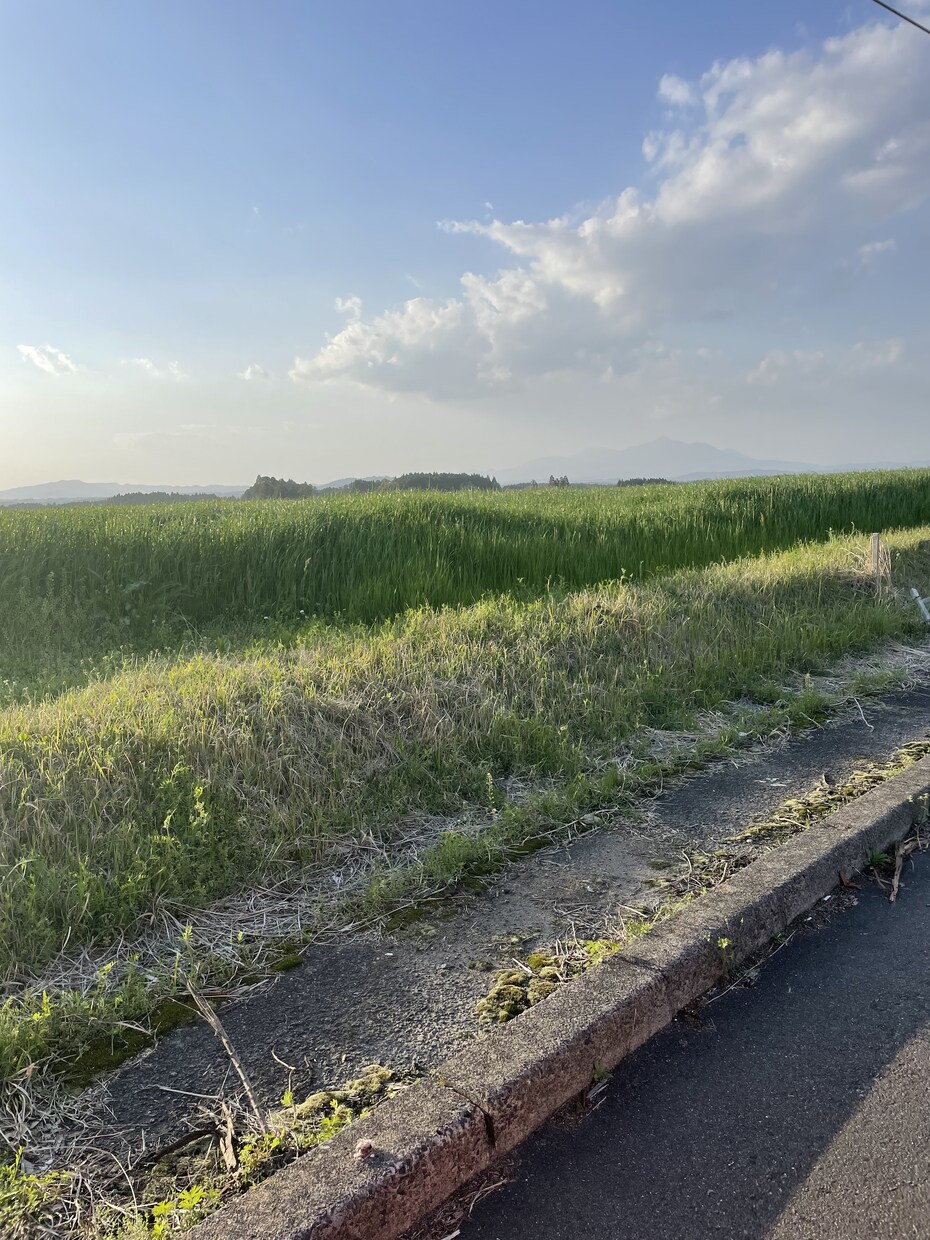 今話したいこと、吐き出したいことお聞きします すっきりしたいあなたの心の整理お手伝いします イメージ3