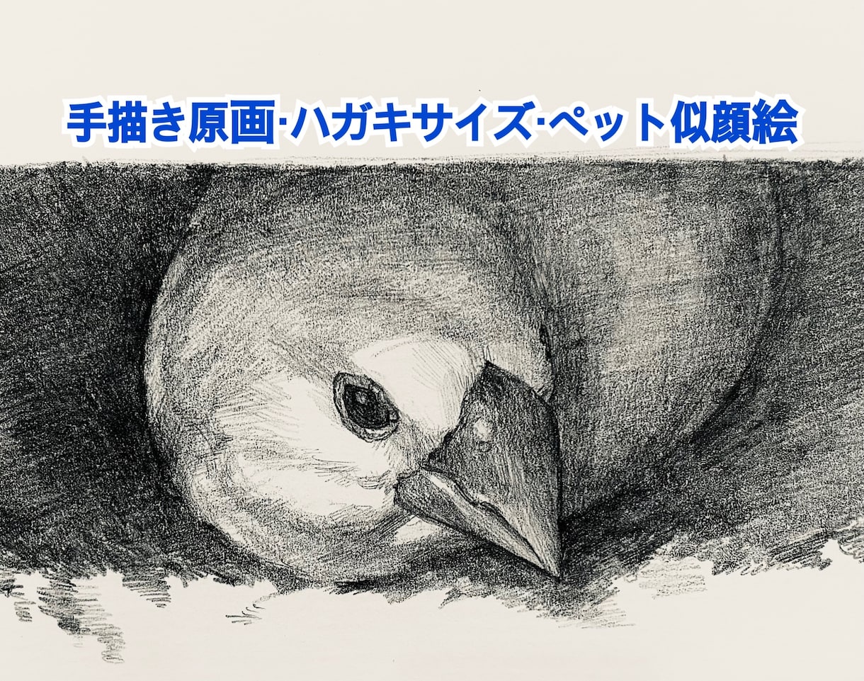ペットの似顔絵を手描き原画で制作します お写真をもとに、ハガキサイズのペット肖像画を制作いたします。 イメージ1