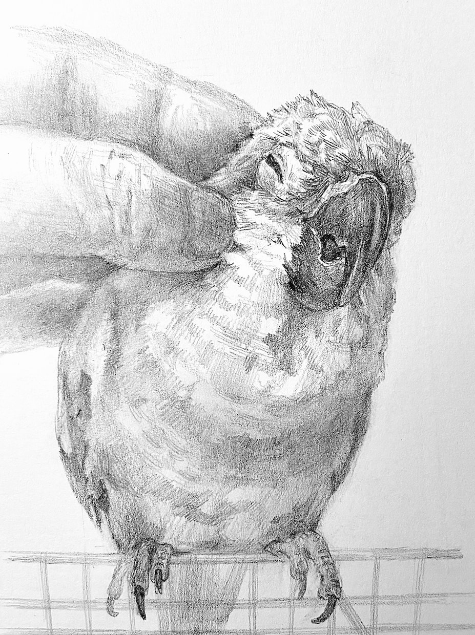 ペットの似顔絵を手描き原画で制作します お写真をもとに、ハガキサイズのペット肖像画を制作いたします。 イメージ2