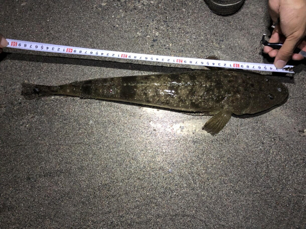 これから釣りを始める方の相談乗ります 釣りをしたいけど何から始めればいいか分からない方必見！ イメージ1
