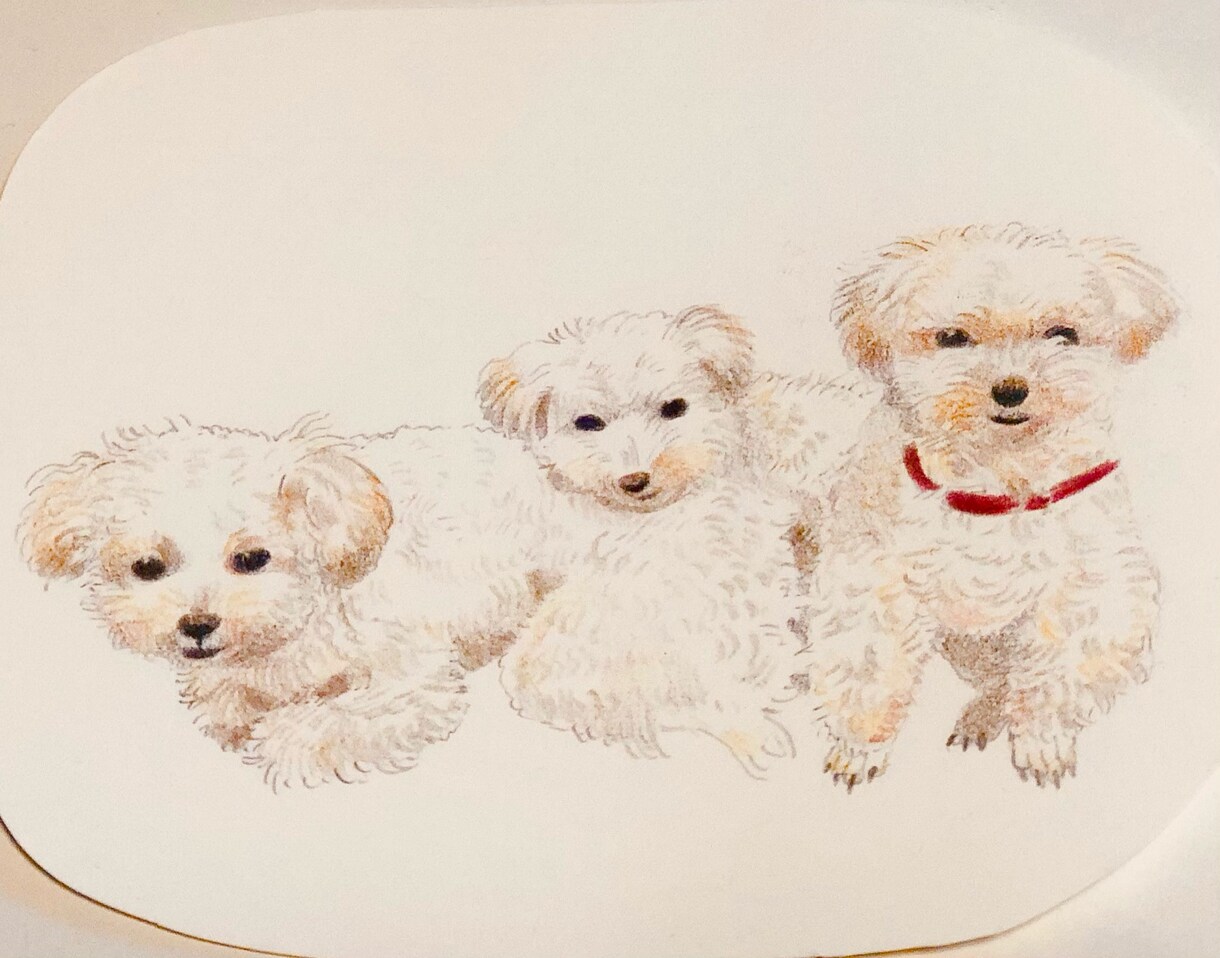 ペットや動物を絵本のようなイラストにします 犬、猫、鳥、花、昆虫、なんでも絵本の挿絵のようなイラストに！ イメージ4