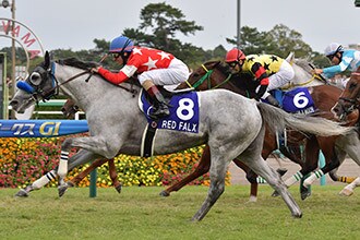 今週の競馬重賞予想します スプリンターズSとシリウスS当てたい方へ！ イメージ3