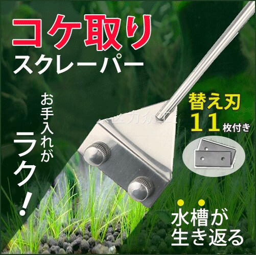 バナー、ヘッダー、SNS画像デザイン各種制作します /修正回数無制限/納得いくまで修正します イメージ4