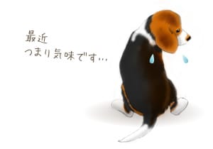 「便質革命」〜便秘の悩み解決します〜  イメージ1