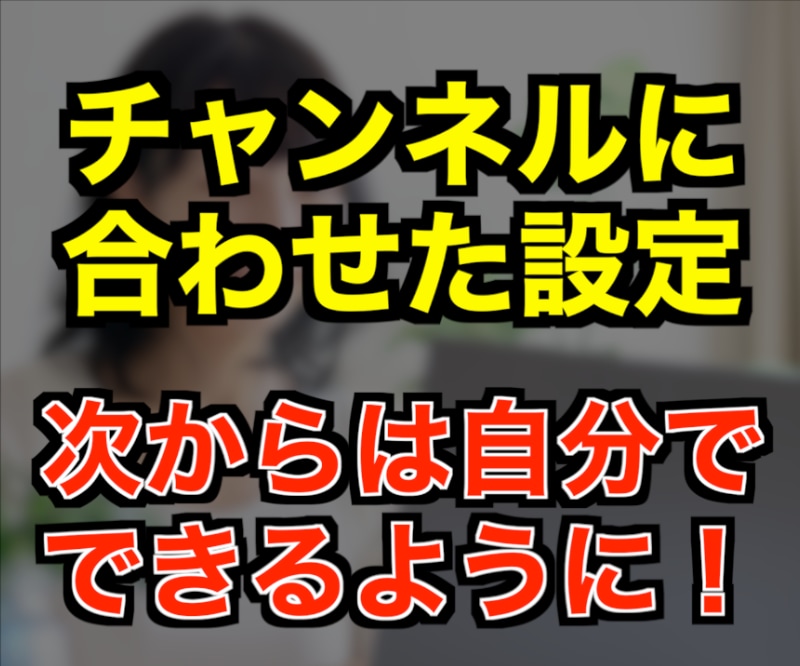 YouTube宣伝！Google広告設定代行します 自分で広告運用したい人向け、解説・運用アドバイスもいたします イメージ2