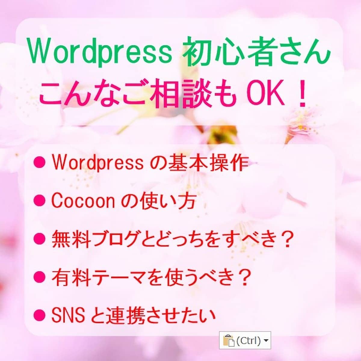 WordPressブログお悩み質問アドバイスします 基本操作を優しくサポート⭐初心者さんに寄りそい1日コンサル イメージ5