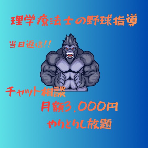 現役理学療法士が野球のスイングを指導します バットスイングを分析してより良い動作の提案と練習を提案します イメージ1