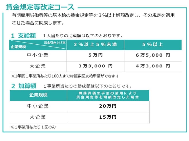 キャリアアップ助成金の計画書作成方法を教えます 専門家への依頼費にお困りの方に誰でもできる簡単作成・申請方法 イメージ6