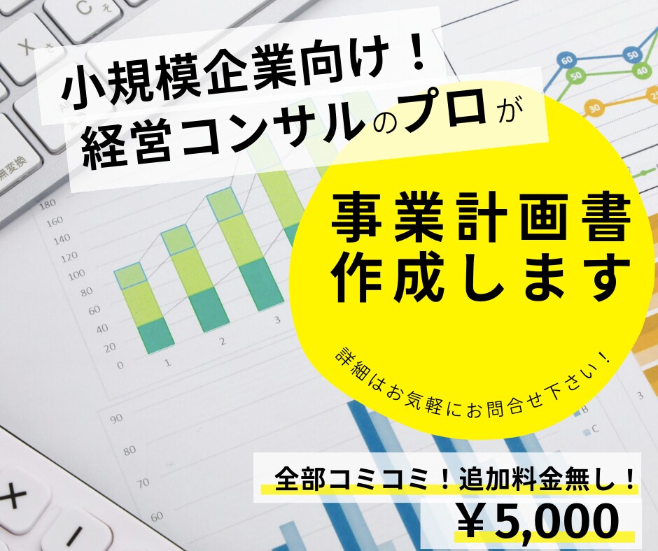 小規模企業向け！経営コンサルが事業計画書作成します 追加料金無し！お客様の要望に合った事業計画書の提供。 イメージ1