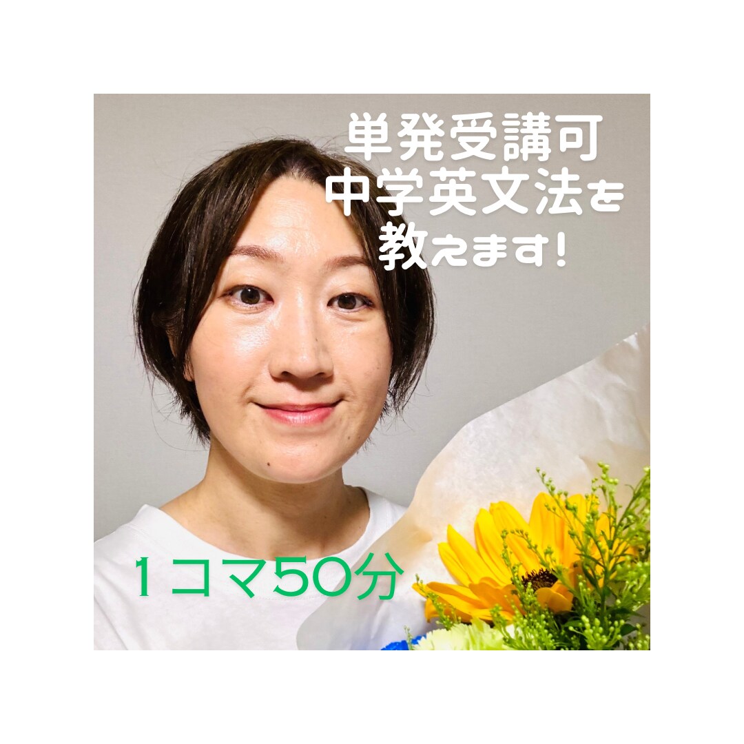 単発OK、1コマ50分。中学英文法を教えます 英語指導歴20年以上の教えるプロ イメージ1