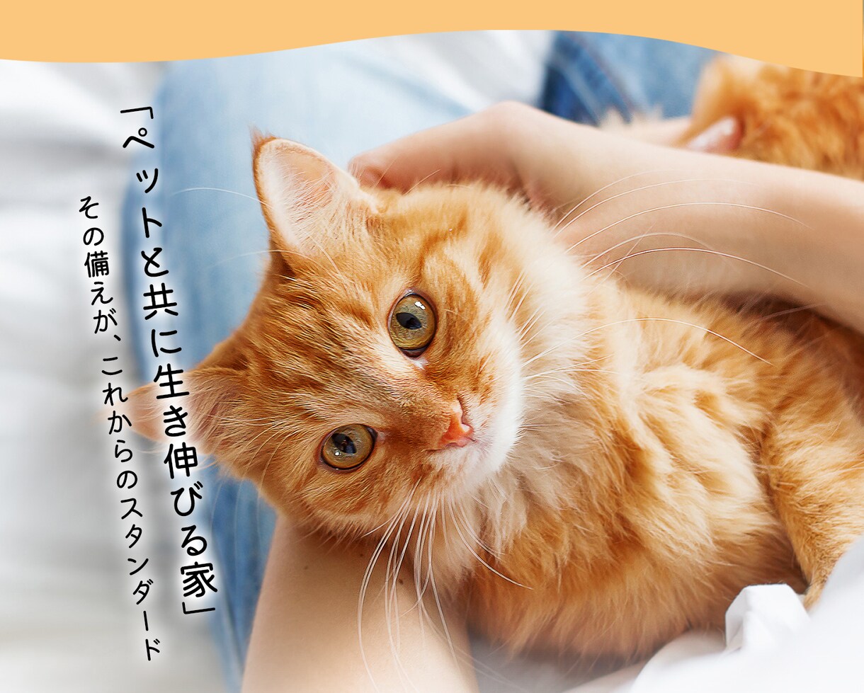 いざという時どこへ向かえばいいのか調べます 家族とペットを守る「地域別避難先リスト作成」サービス イメージ6
