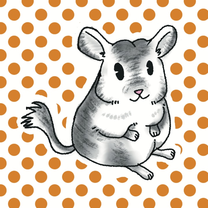 アイコンやヘッダーをポップ調のイラストに描けます 動物をポップで可愛らしい絵柄で描けます。 イメージ1