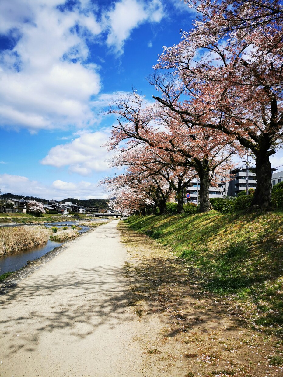 魂結び霊導鑑定で《あの人の本音》を霊視します 知りたい彼・彼女の心と未来―動けない恋をそっと解き放つ― イメージ8