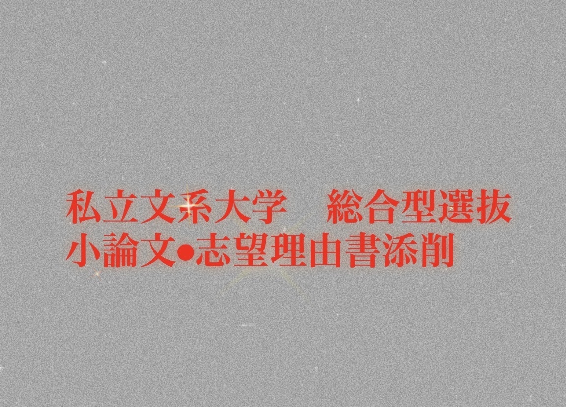 その場で小論文・志望理由書の添削をします 私立文系大学のAO入試突破に向けて イメージ1