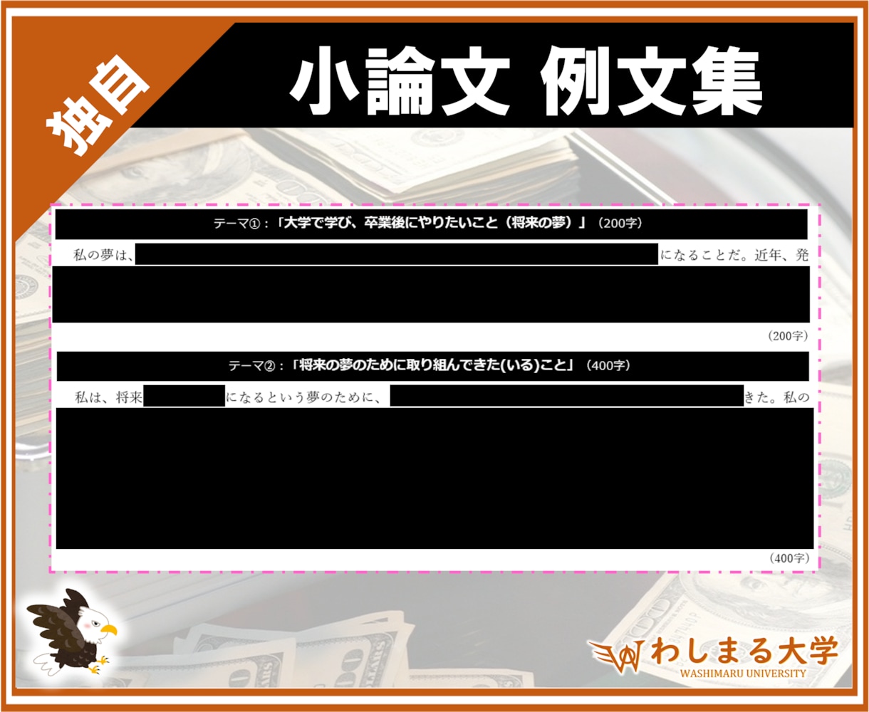 ダイソー奨学金の小論文の書き方・例文集を提供します 大人気 民間給付奨学金の作文攻略ノウハウを徹底解説！ イメージ5