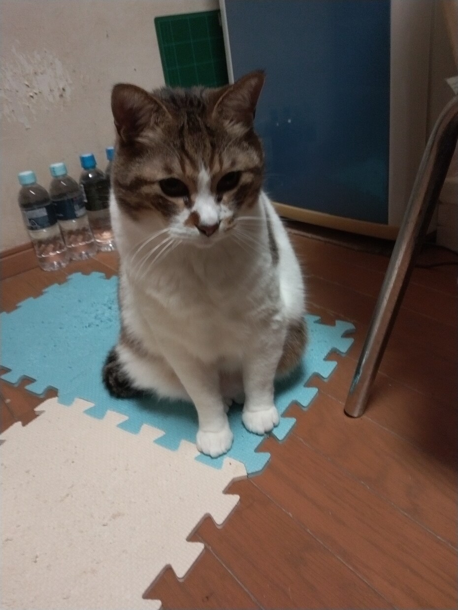 初心者向けカラオケ講座を開きます カラオケ上手くなりたい方は是非一緒に練習しましょう‼️ イメージ4