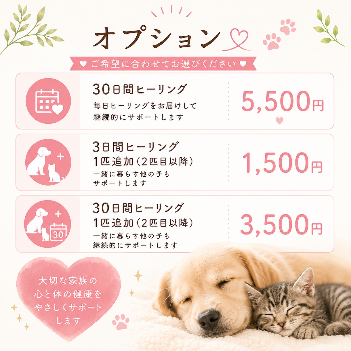 大切なペットへ3日間、1日2回ヒーリングします 大切な家族へ、心を込めて3日間寄り添います イメージ5