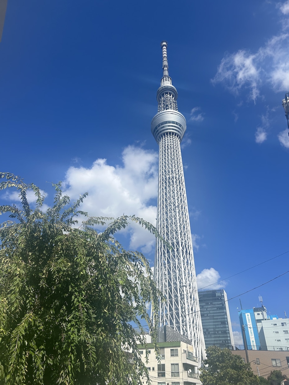 東京観光を失敗させない！タイパ×グルメ旅作成します 迷わない移動＆行列回避で最高の東京体験を！Mapピン付 イメージ3