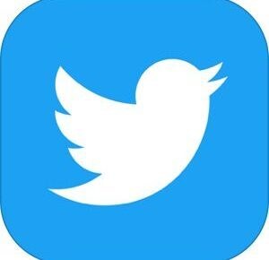Twitterを軌道に乗せる為のコンサルをします ツイッター開始7ヶ月でフォロワー1万人を突破した秘訣を伝授 イメージ1