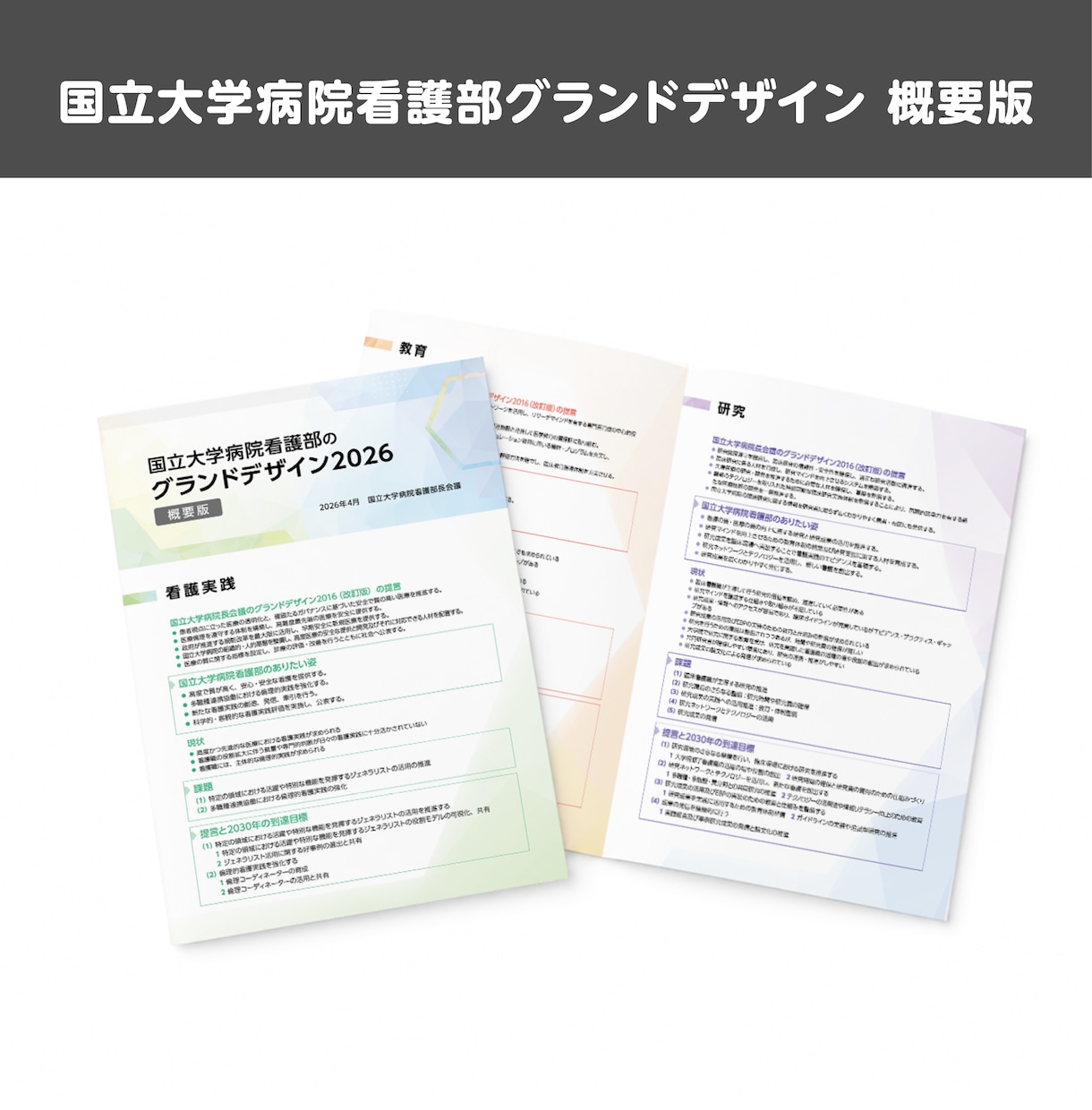 公的・組織向け冊子をデザインいたします 行政・医療・福祉・NPO等の冊子を読みやすく制作 イメージ4
