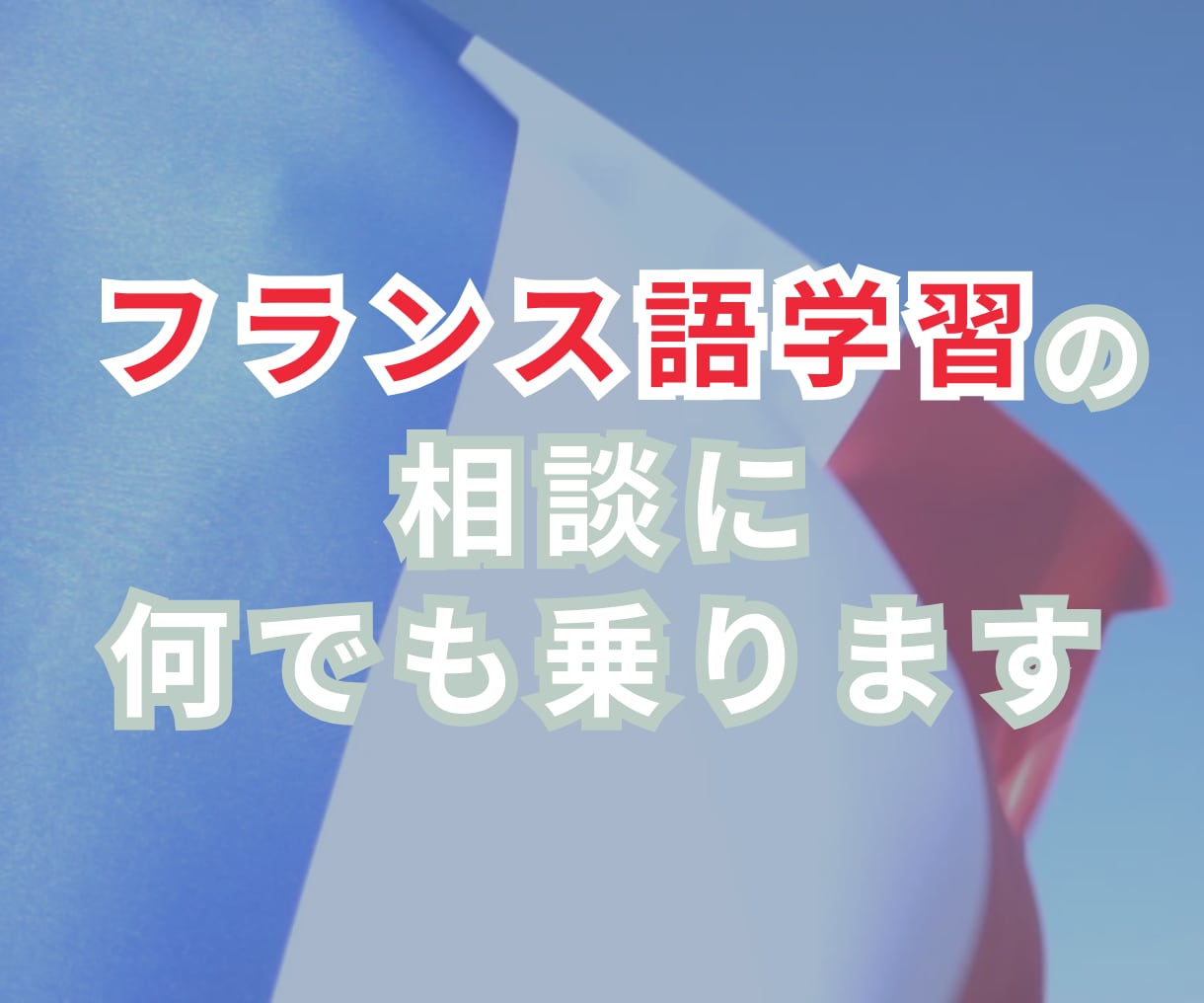 フランス語学習の相談に何でも乗ります DALF C1(仏検1級相当)保持者があなたの学習を支援 イメージ1
