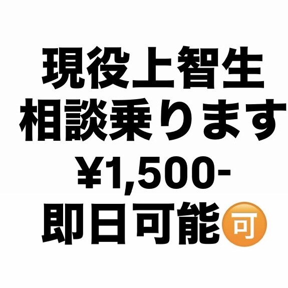 推薦入試の相談に乗ります 上智外英公募入学3年があなたを合格に近づけます イメージ1