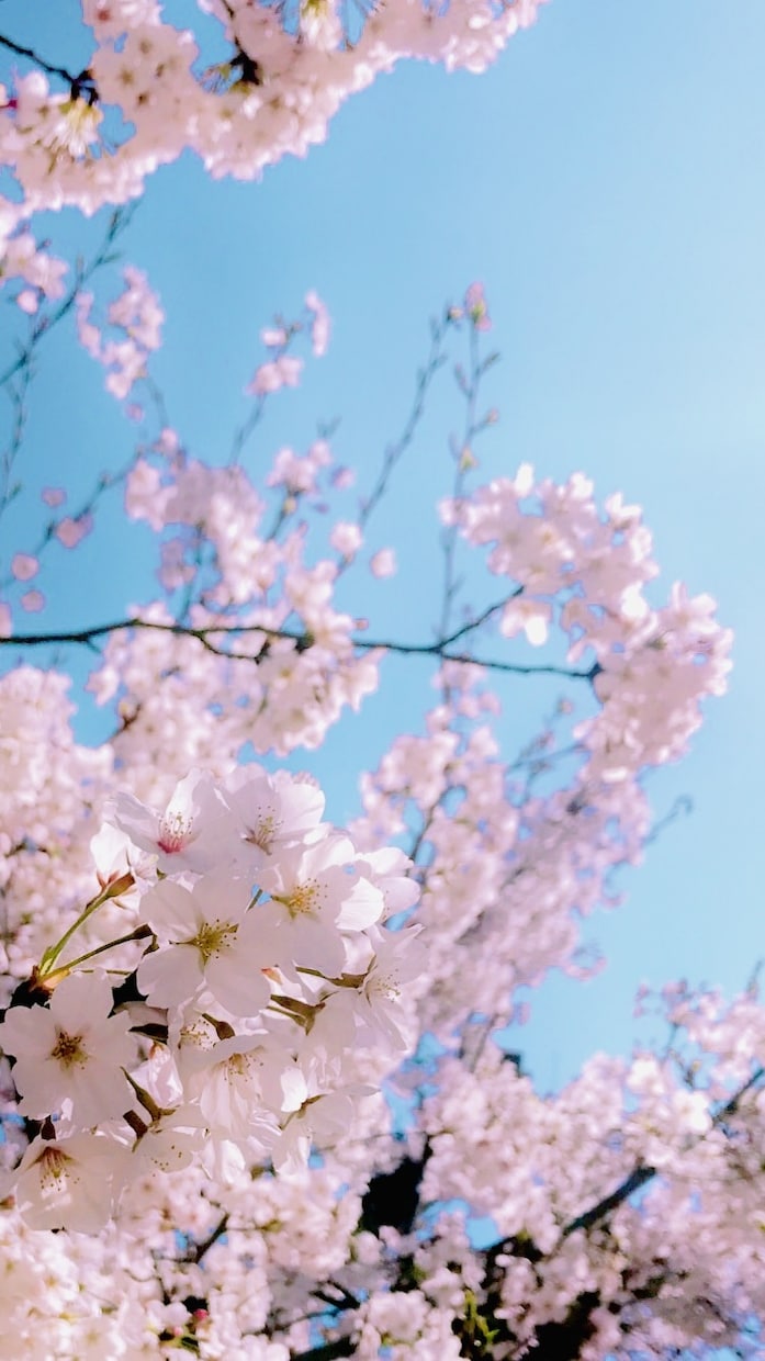 様々な風景の写真を提供致します ニーズにあった写真を提供致します。 イメージ2