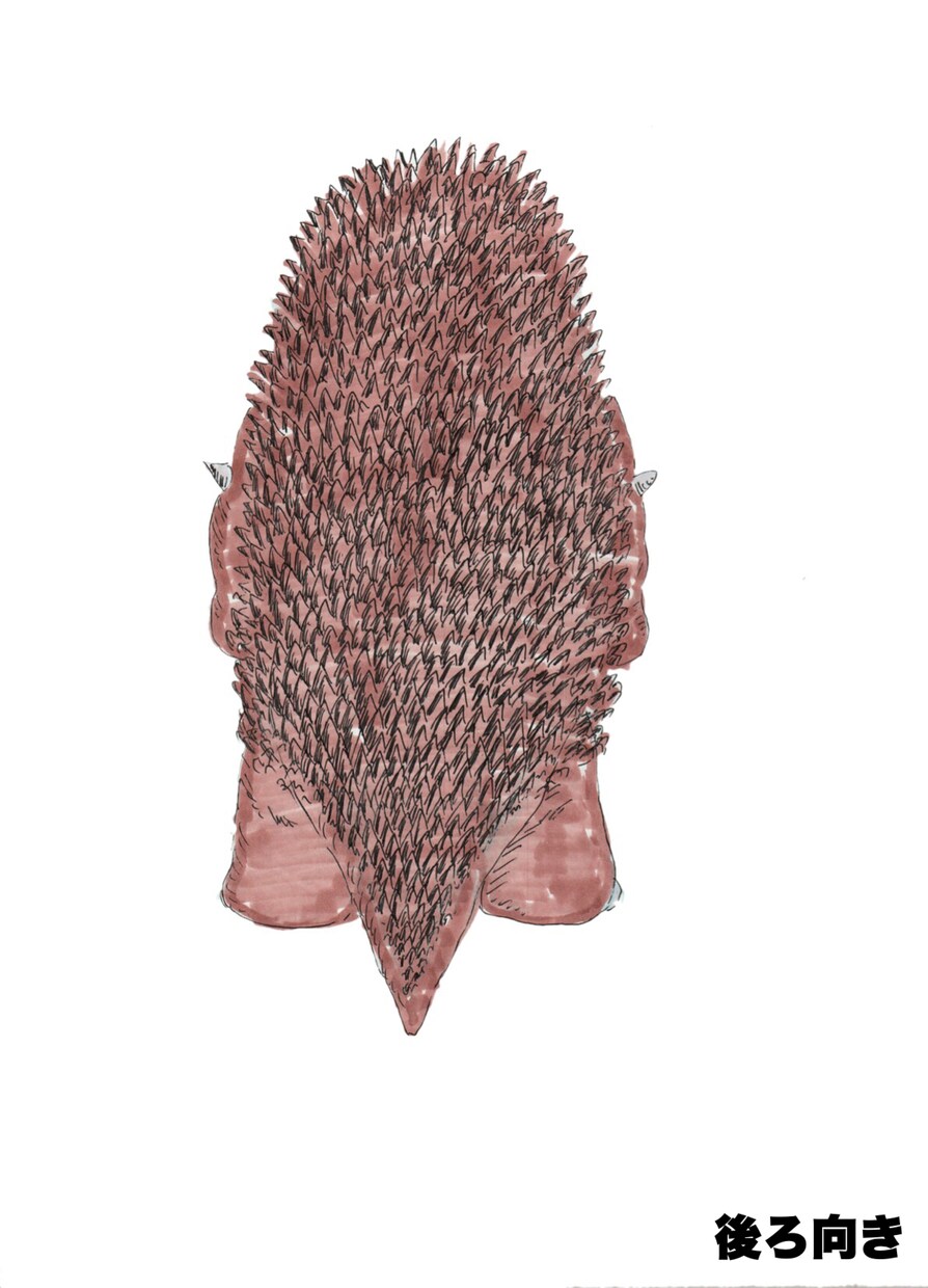 モンスター・怪獣の設定絵を描きます 設定を思いついたけどイメージがわかない方の手助けに！ イメージ3