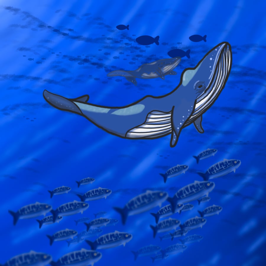 MVや動画用の背景イラストをお描きします アニメ風のエモい風景や背景イラストを丁寧に制作いたします！ イメージ1