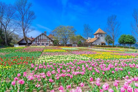 貴方の相談に乗ります 悩んでいることをお聞かせ下さい(*^^*) イメージ2
