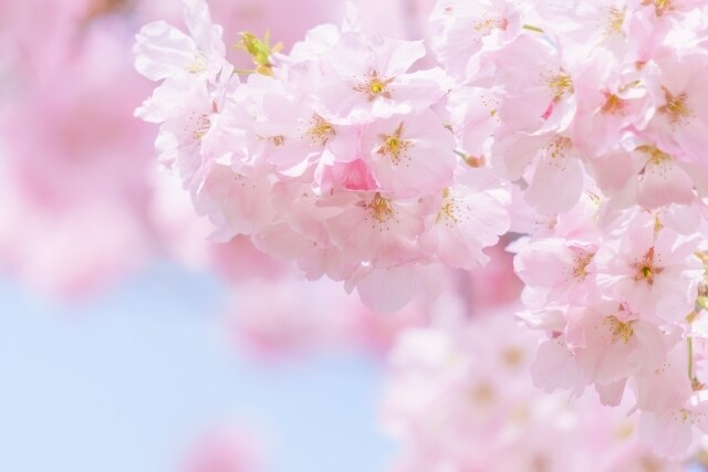 心のもやもや、しっかり受け止めます 誰にも言えない話、誰かに聞いてほしい話、声に出してみませんか イメージ3
