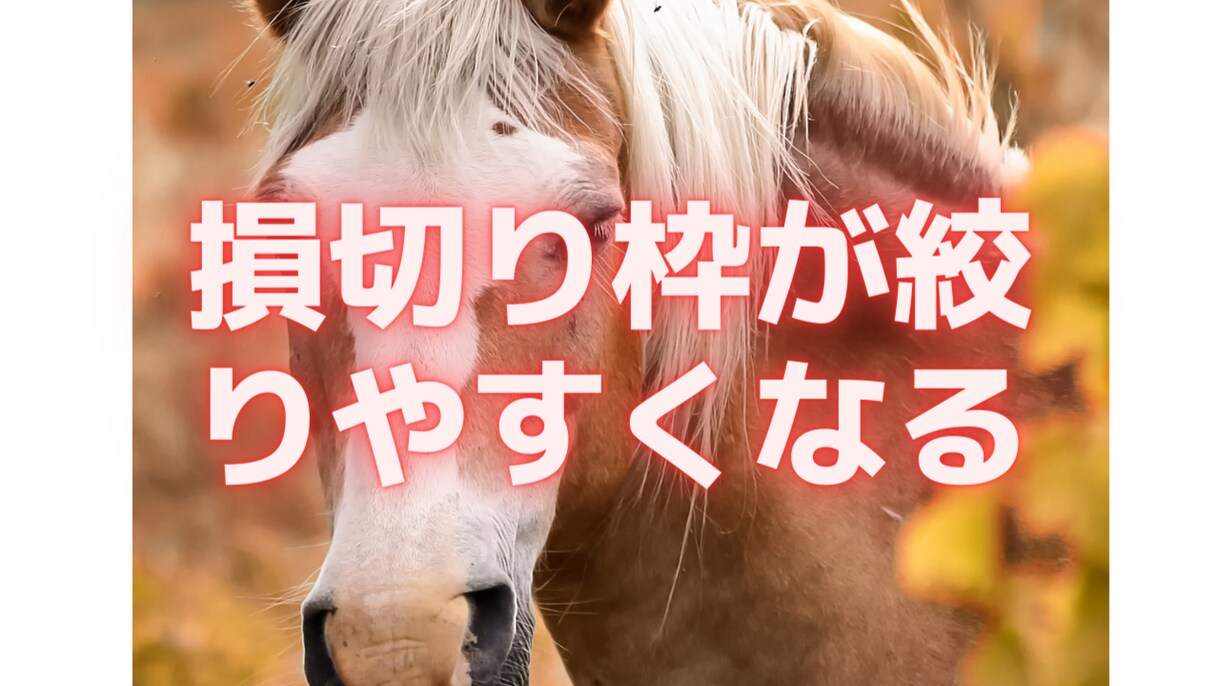 競馬で大富豪は無理だが勝ち組になる方法伝授します 競馬はギャンブルじゃない。統計が導く必ず答えがでる数学だ。 イメージ3
