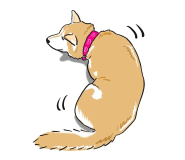 完全手書き！あなたのペットイラストにしちゃいます 写真とはひと味違うあたたかみをアルバムに１枚 イメージ1