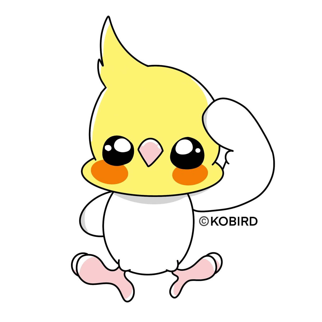 可愛い鳥さんのイラスト描きます インコ、オウムメインでお描きします イメージ4