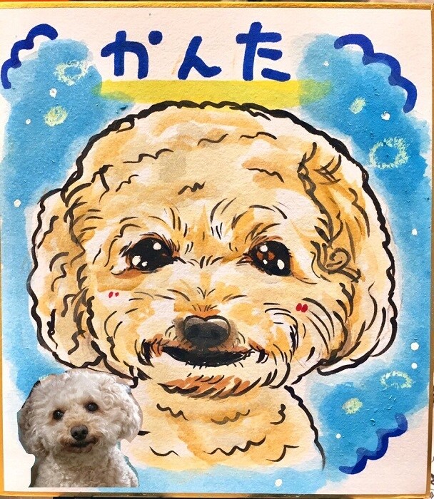 ミニ色紙による１〜２名様似顔絵をお描き致します 低価格によるお試しやちょっとしたプレゼントにオススメです。 イメージ7