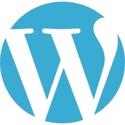 WordPressの初期設定を全て対応します ブログが書ける状態までの設定は全てお任せください！ イメージ1