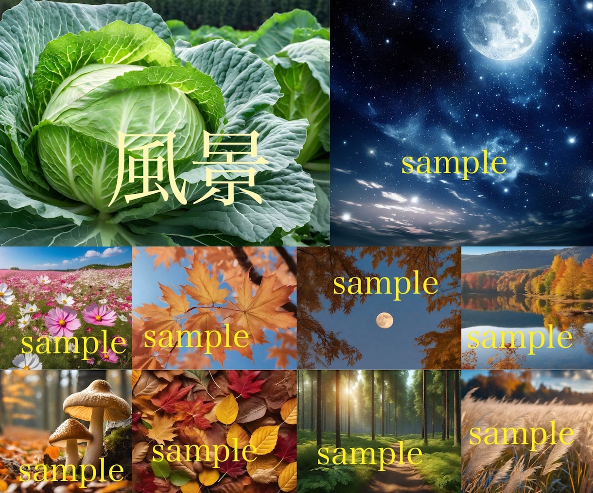 高品質なAI写真を作成致します 人物・動物・景色などの写真を中心に作成しています イメージ6