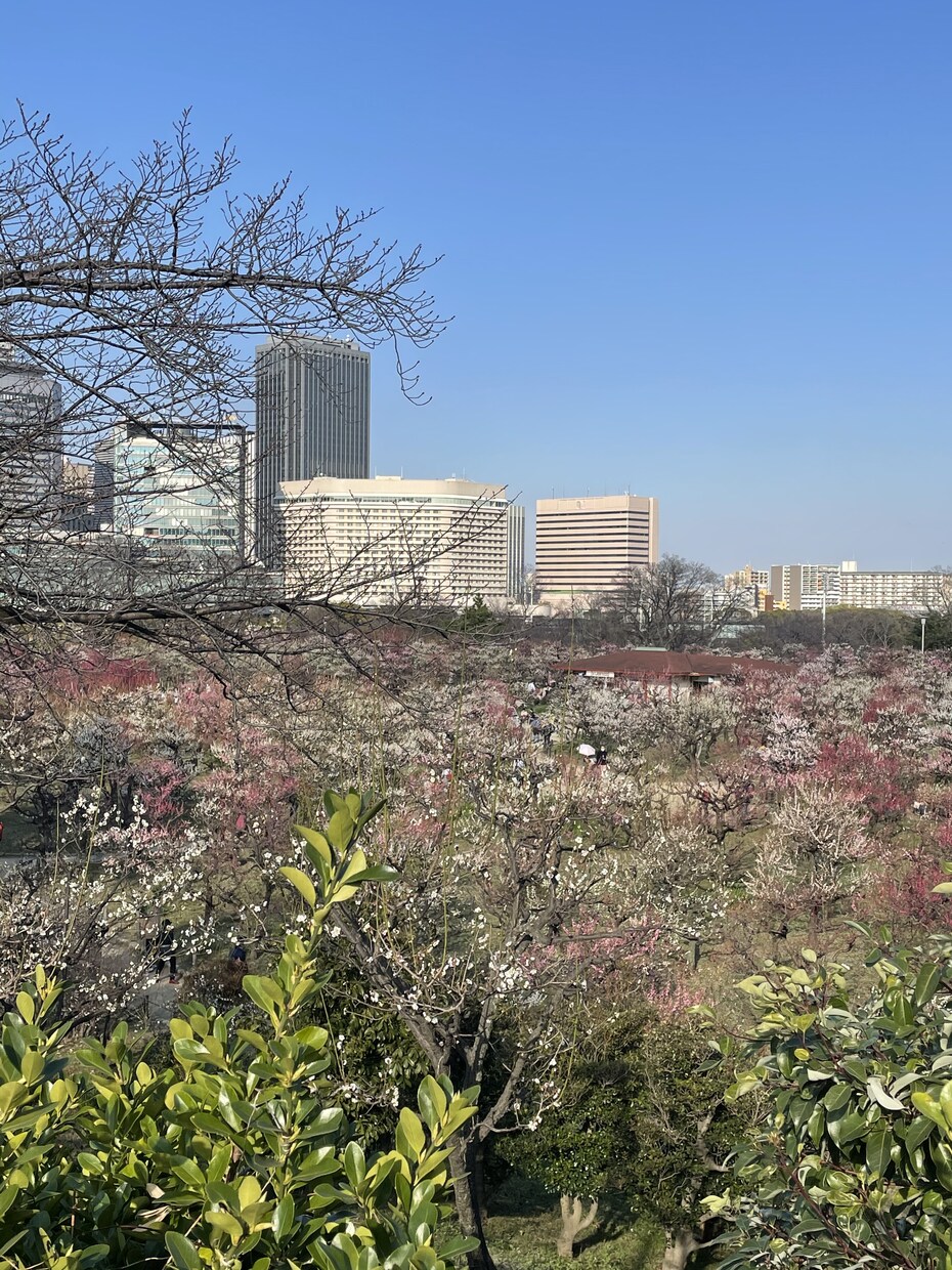 健康業界でセラピストとして15年の経験を話します 温活を通した健康法のプロが語るあなたにあった健康法を教えます イメージ2