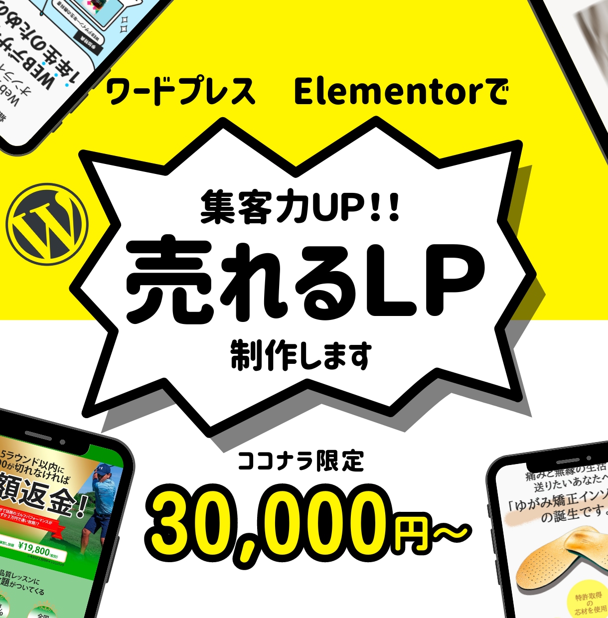 WordPressで高品質なLPを制作します 集客できるLPを作成します！デザイン丸投げもOK！ イメージ1