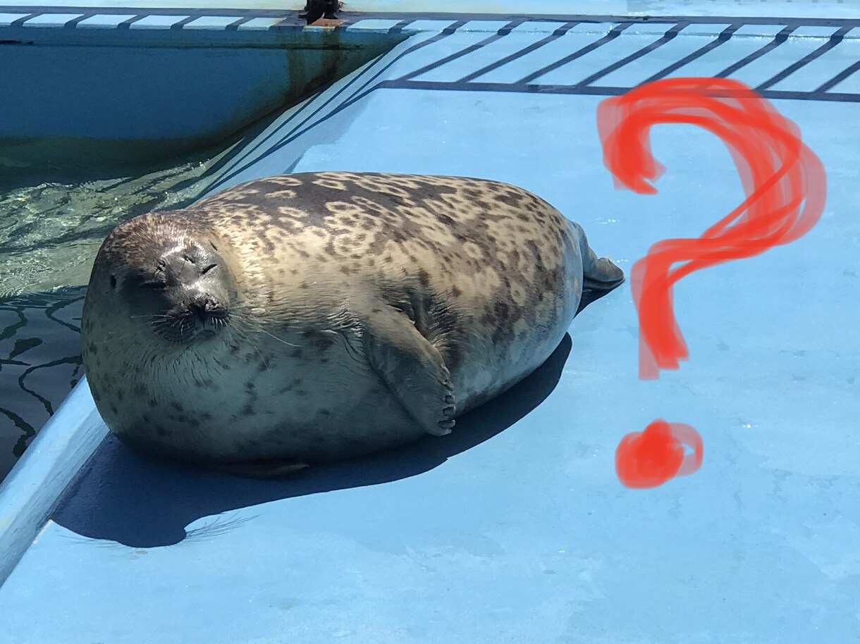 派遣ナースとして働きたい方の質問にお答えします 時間をつくり、やりたいことがある！でも収入はキープしたい！ イメージ1