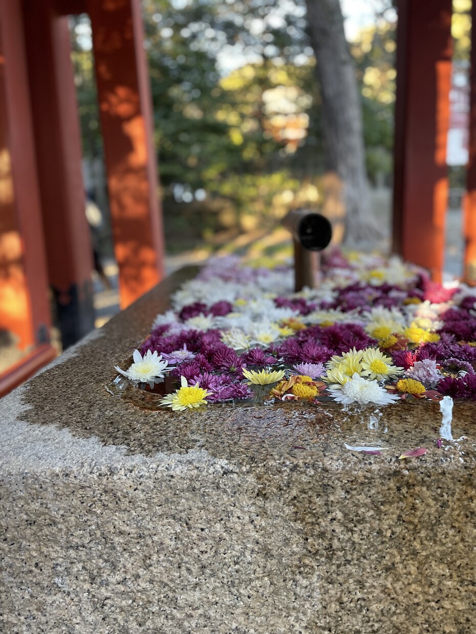 誰かに聞いてもらいたいこと聞きます 誰にも話せない....でも吐き出したいことありますよね。 イメージ3