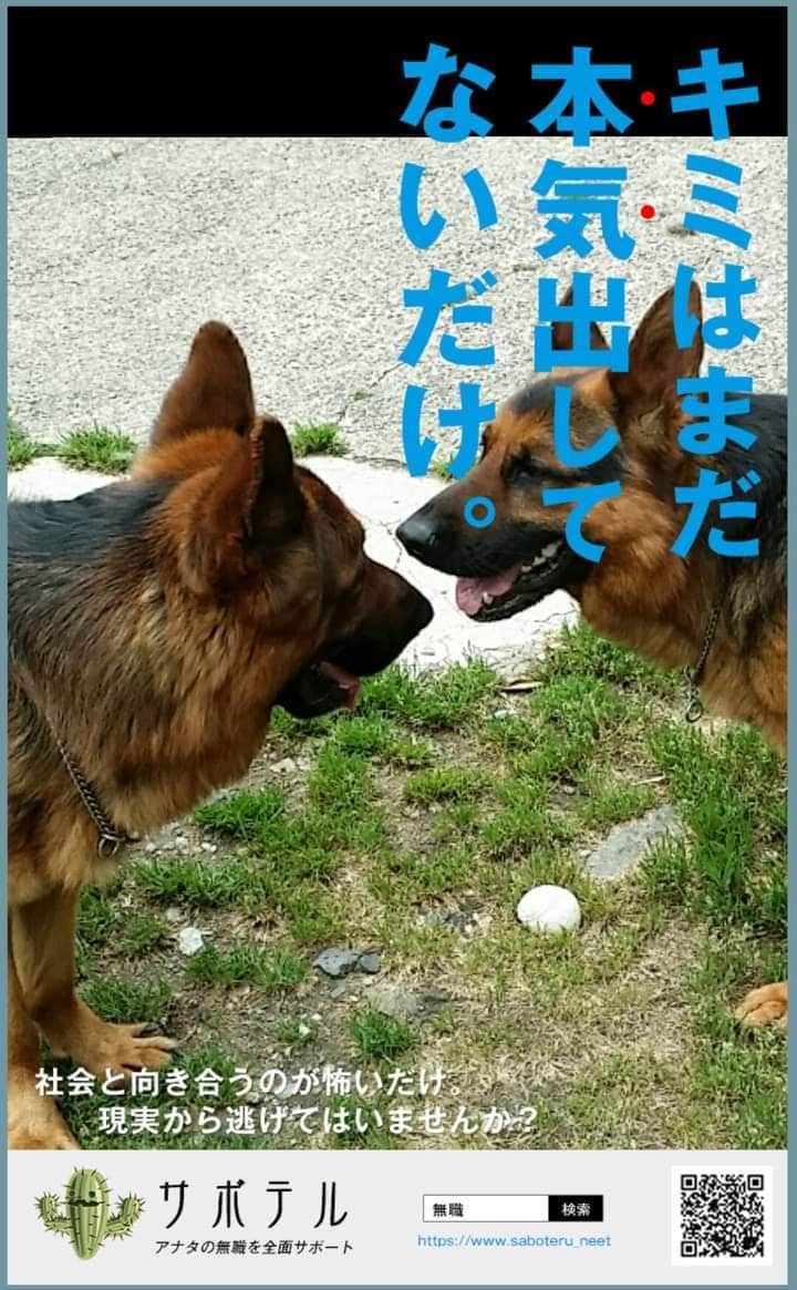 愛犬の成長過程のお悩みアドバイスします 初めて犬を家族としてお迎えされた方。☆★プロがサポート☆★ イメージ1