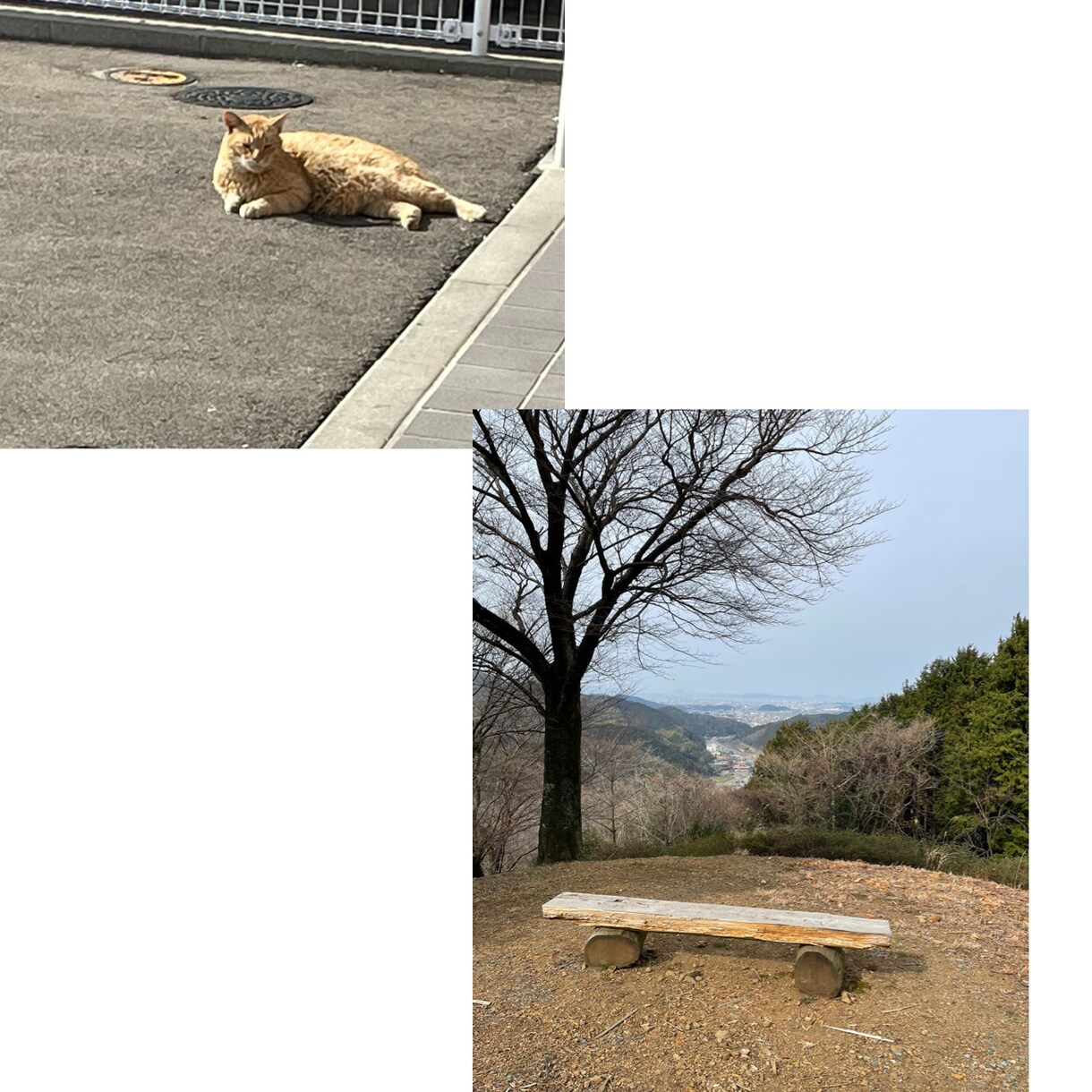 オリジナルの画像、壁紙などを作成せていただきます ドッキリなどの冗談用にピッタリ！ イメージ3