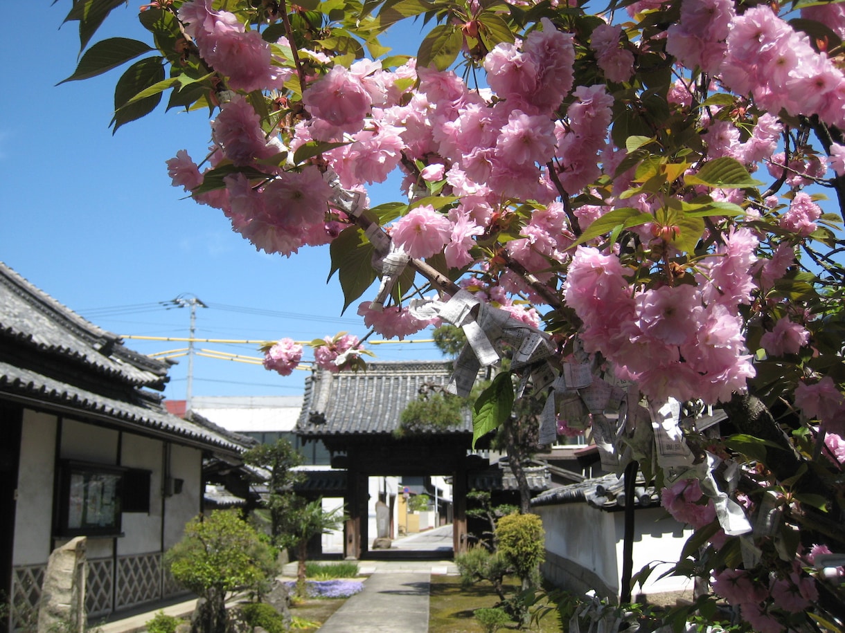 住職が読経＆塔婆で先祖供養します お坊さんがご供養のご相談承ります「思い立ったが吉日」 イメージ3