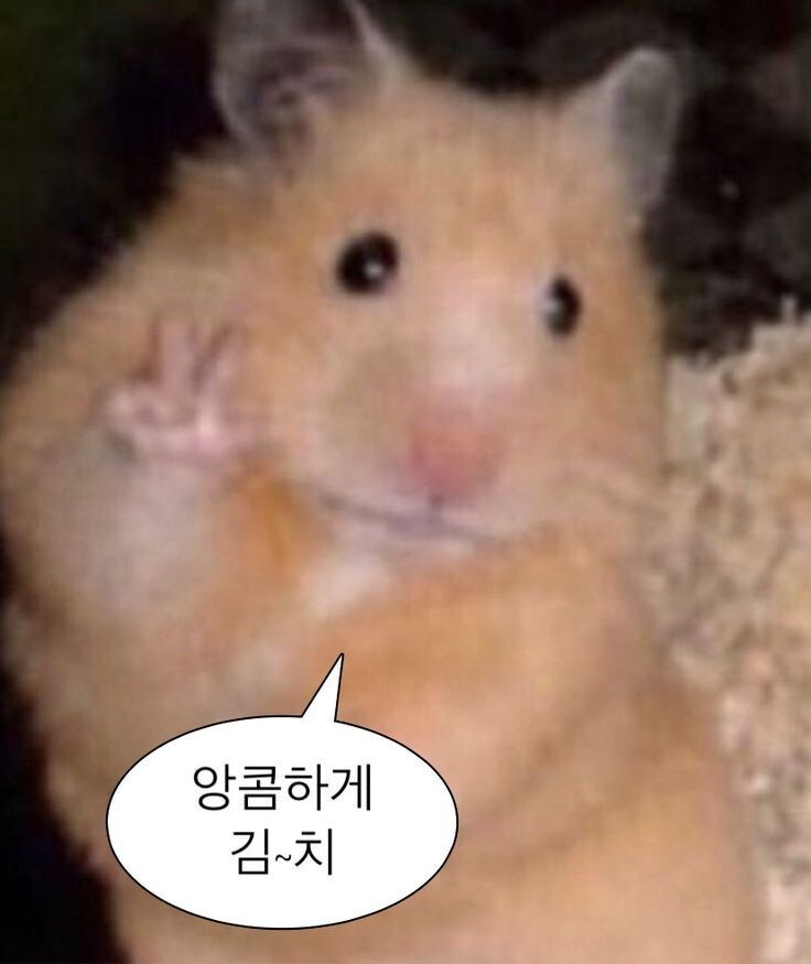 どんな文章でも自然な韓国語で翻訳します 日本留学3年、日韓恋愛3年歴持ちの韓国人がするネイティブ翻訳 イメージ1