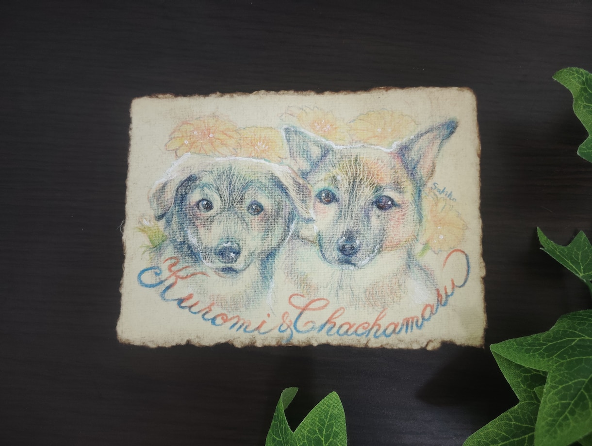 アンティークな雰囲気のペットの似顔絵作成します レトロな風合いがお洒落な色鉛筆の優しい似顔絵 イメージ1